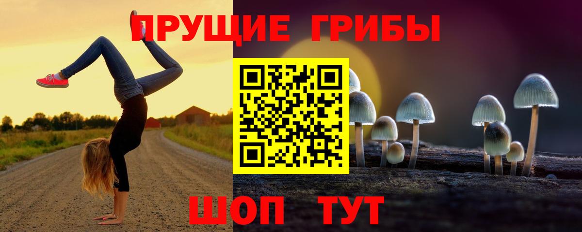 Псилоцибиновые грибы Psilocybine cubensis  Вход с VPN  Аша 